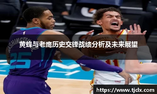 黄蜂与老鹰历史交锋战绩分析及未来展望