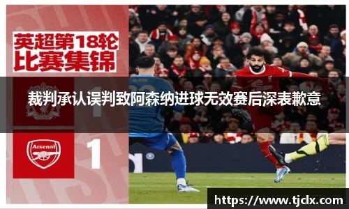裁判承认误判致阿森纳进球无效赛后深表歉意